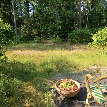 Simple Scandinavian Style Near The * Glesborg