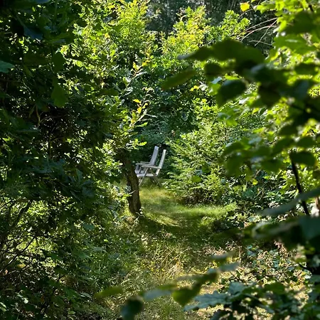 Simple Scandinavian Style Near The *